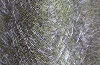 Hillgreen fibreglass roof work